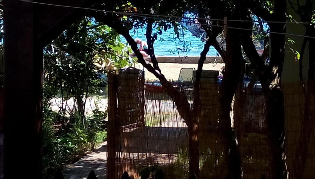 Guest House Nina - 1