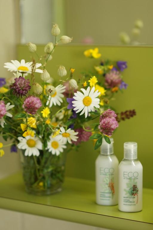 Thermal Hotels & Walliser Alpentherme Leukerbad - Resim 39