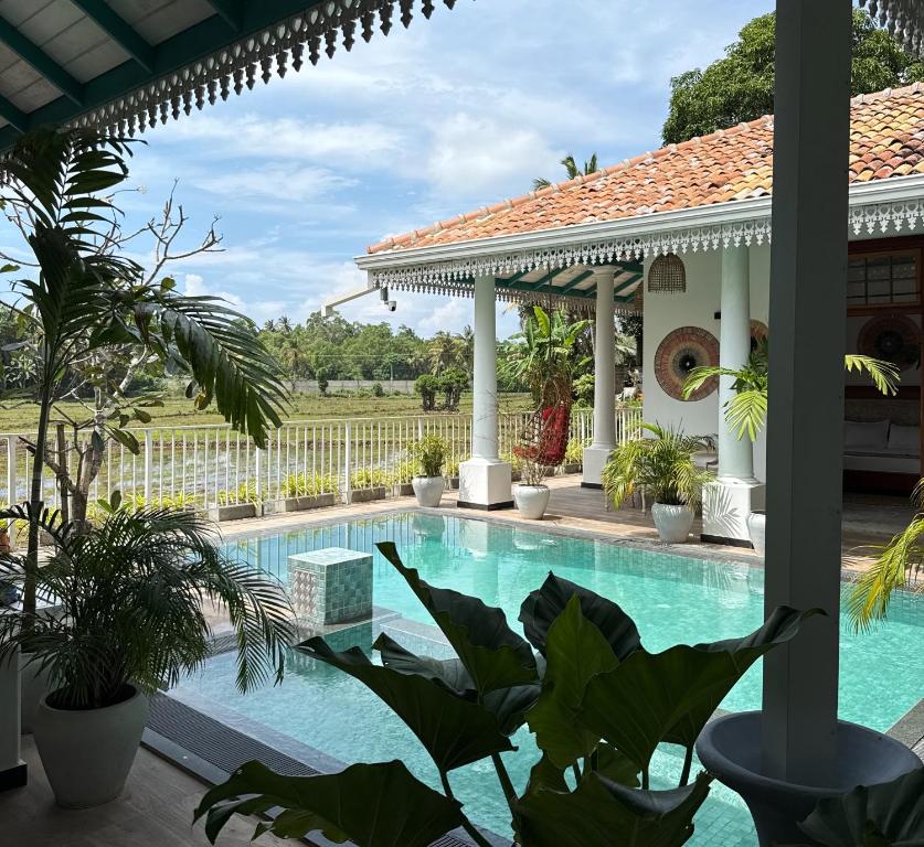 a swimming pool with a gazebo and plants at ISOLA - Surf House in Koggala