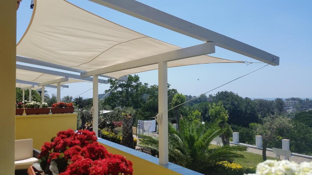 a white canopy on top of a balcony with flowers at Belvedere in Procida
