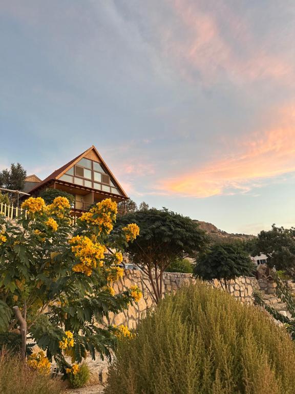 a house on top of a hill with yellow flowers at Dana luxury huts in Dana