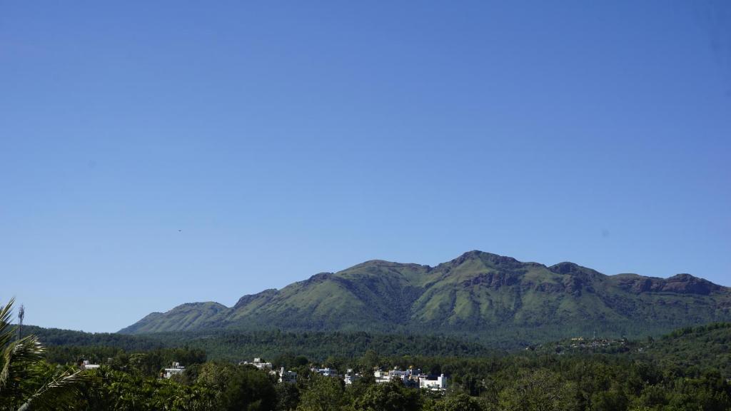 Φυσικό τοπίο κοντά σε αυτό το δωμάτιο σε οικογενειακή κατοικία