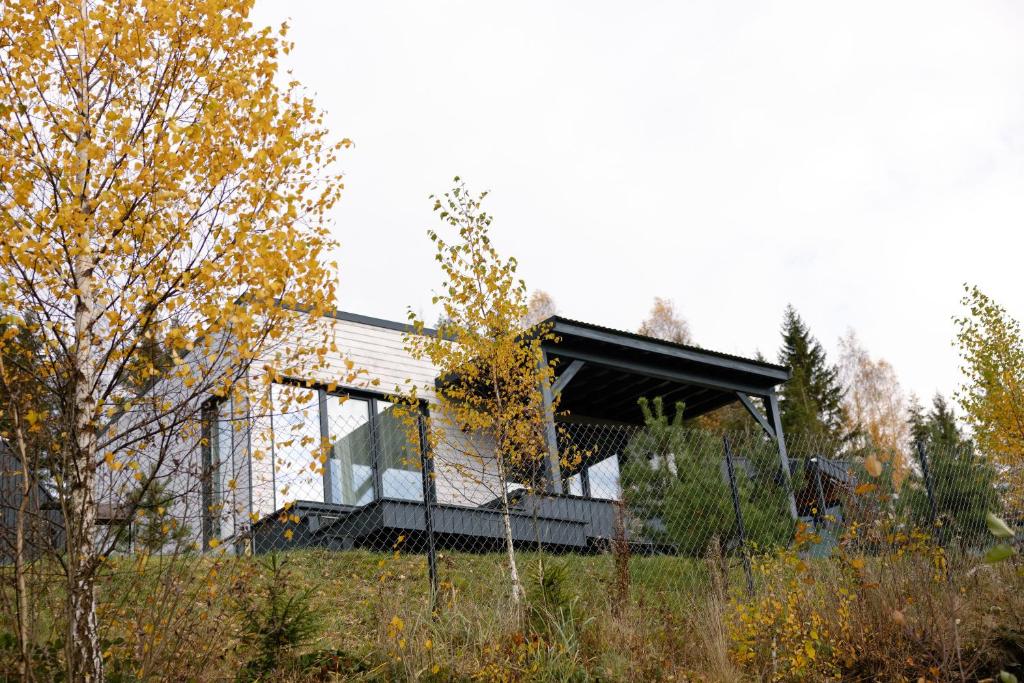 a house on top of a hill with trees at Лісогори in Slavske