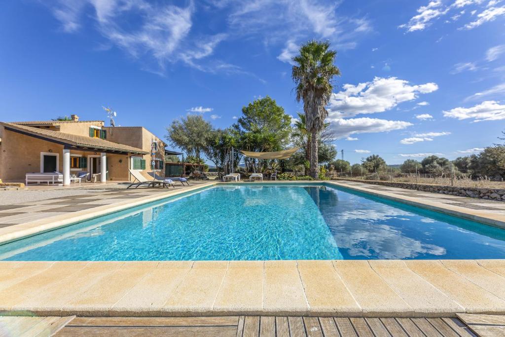 a swimming pool in the backyard of a house at Mercedes in Santa Margalida