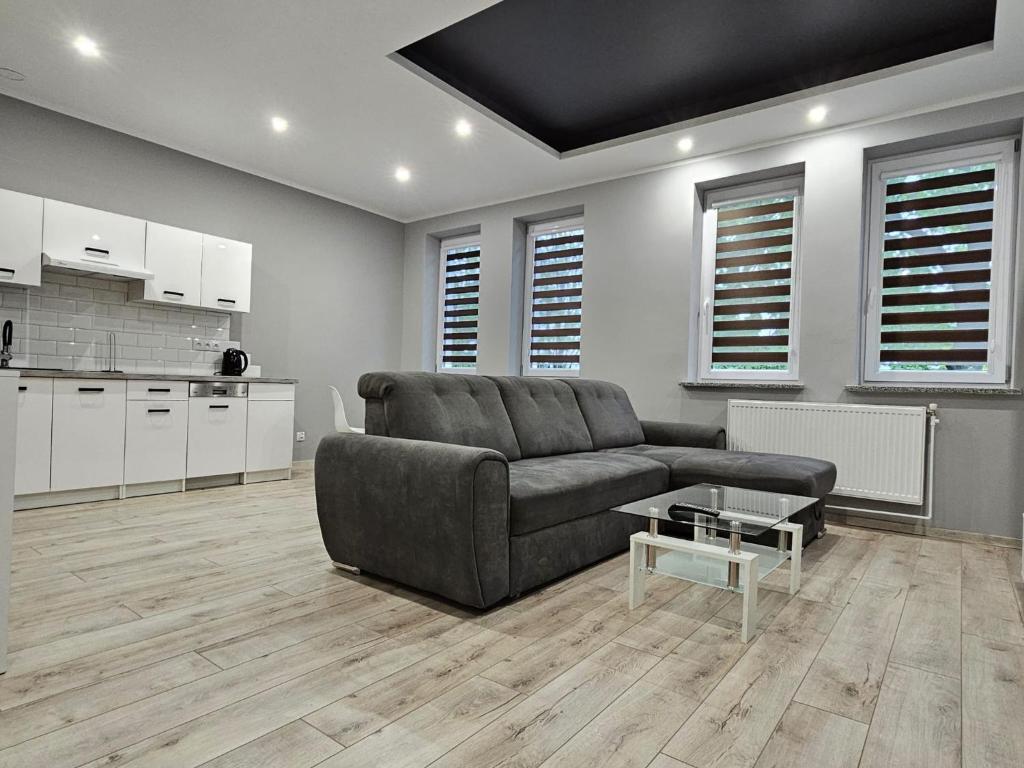 Kuchyň nebo kuchyňský kout v ubytování Noclegi Jodłowa