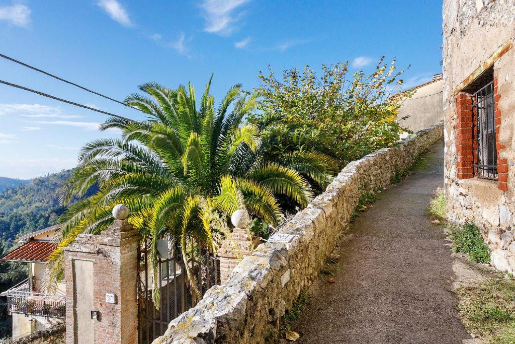 Un muro de piedra con una palmera junto a una calle. en La Casina nel Borgo, en Camaiore