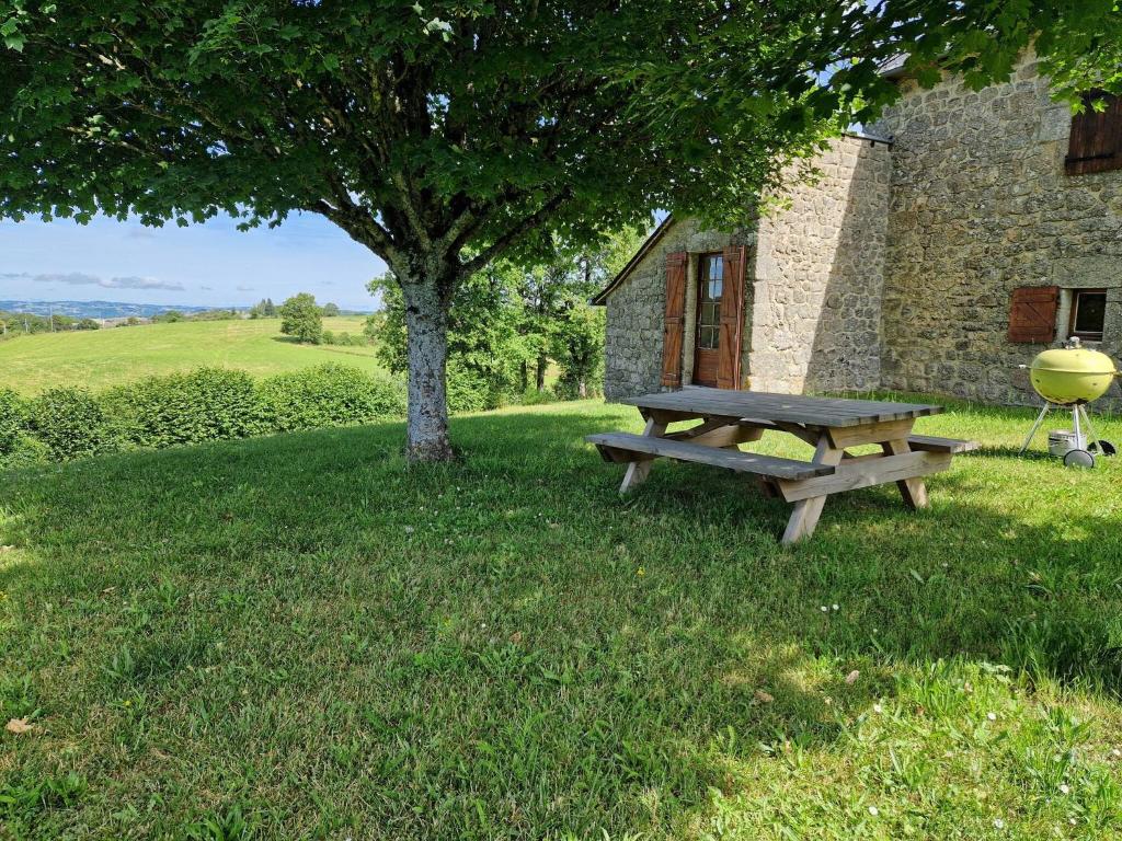 a picnic table in the grass next to a tree at Gîte de la Capelle in Touluch