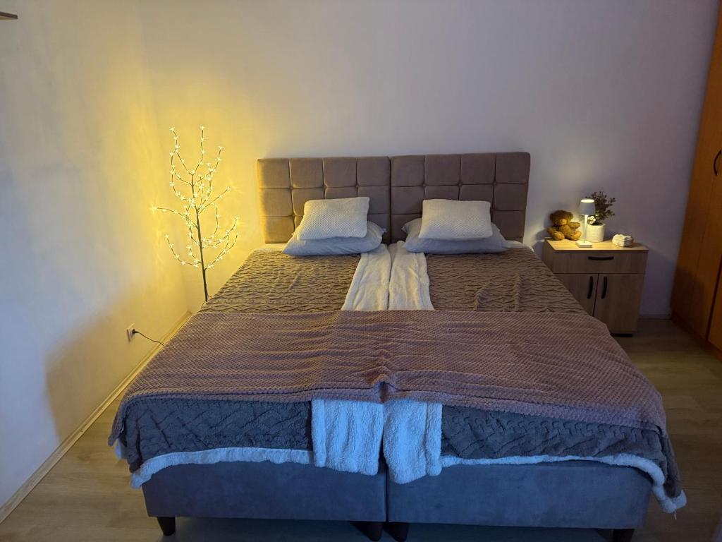 Gallery image of Apartman Teodora in Bor