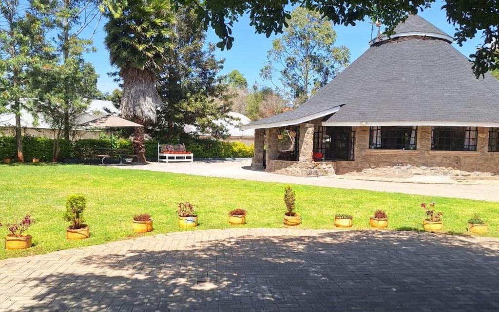 eine Gruppe von Topfpflanzen vor einem Gebäude in der Unterkunft Kiserian cottage with gazebo garden grill - 2343 in Kiserian