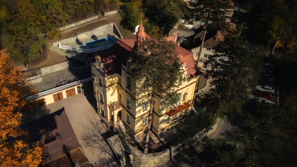 バイレ・ヘルクラネにあるVila Băncii Naționaleの時計塔のある建物の上面