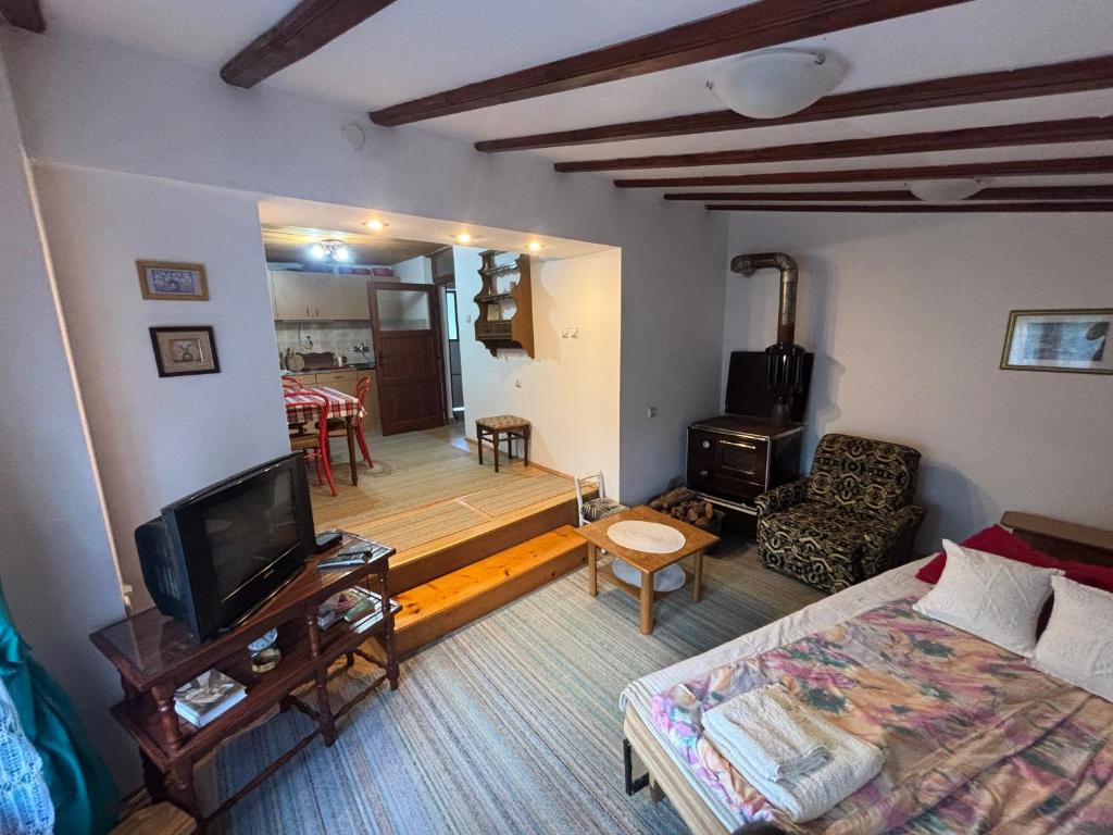 a living room with a bed and a living room with a television at Kuca Lula Stara planina in Pirot