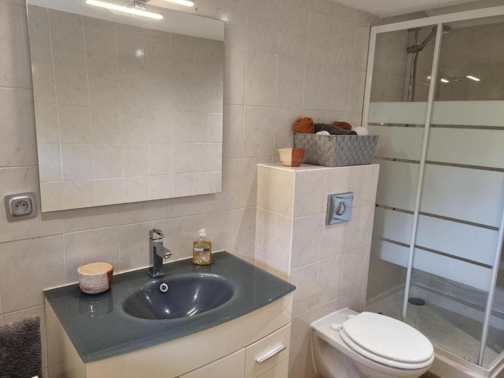 a bathroom with a sink and a toilet at L'ombre du vent in Contes