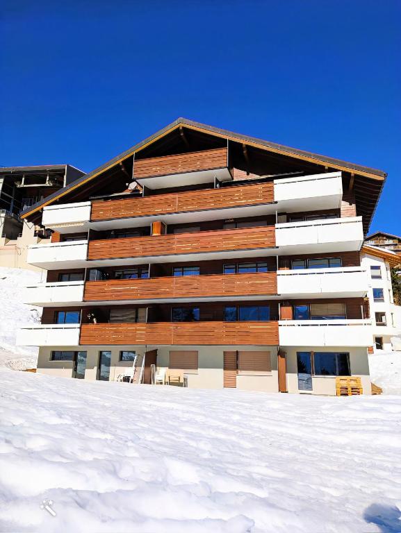 Studio Alpenhaus