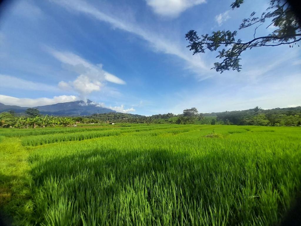 Příroda nedaleko hotelu