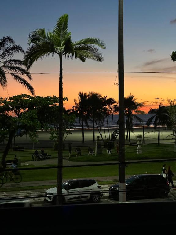 Naturlandskabet i nærheden af lejligheden