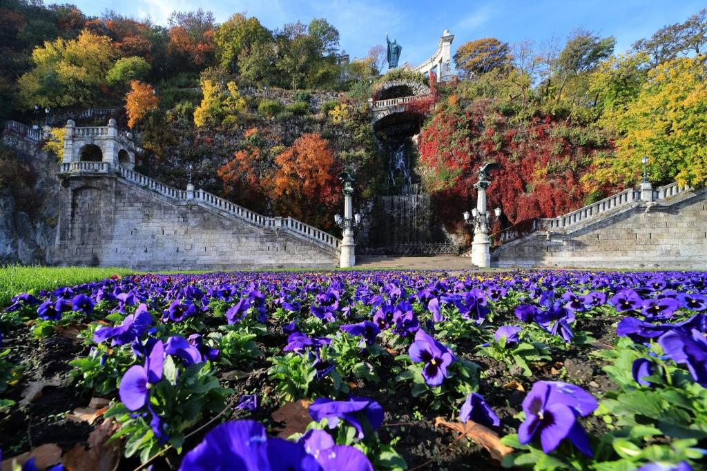 ブダエルシュにあるPrivat szobak 3の紫花畑