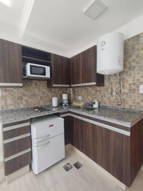a kitchen with wooden cabinets and a white appliance at Catalina - Excelente ubicación en pleno centro - 2A in Santa Fe