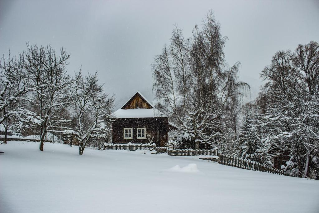 Το Chichotavá breza τον χειμώνα