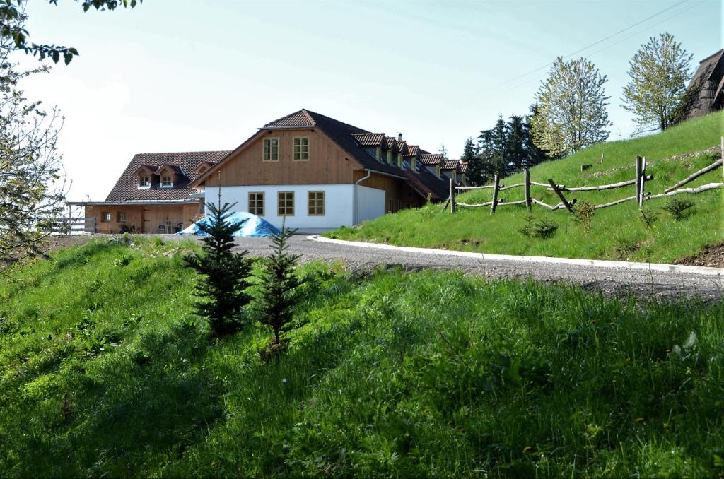 a house on the side of a grassy hill at Chata pod Červenou studňou in Banská Štiavnica