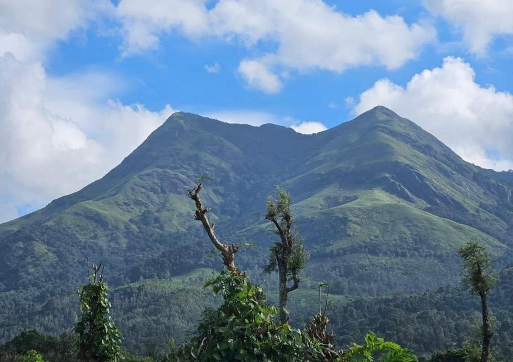 Příroda nedaleko hotelu