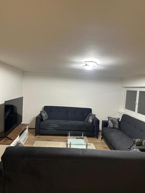 a living room with a black couch and a tv at Alpina Apartment Premium in Feldkirch
