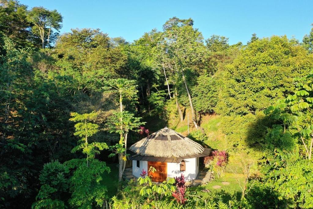 uma pequena cabana no meio de uma floresta em Paradiselodge Casa Romantica em Platanillo