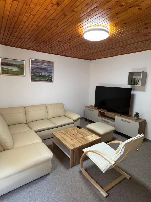 TV a/nebo společenská místnost v ubytování Penzión Odysea