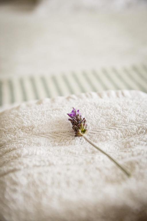a small purple flower sitting on top of a mattress at Hostería La Viña in La Cumbre