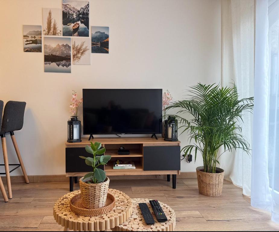 a living room with a television and two potted plants at Cocon Des Bois - Gex Genève Mijoux in Mijoux