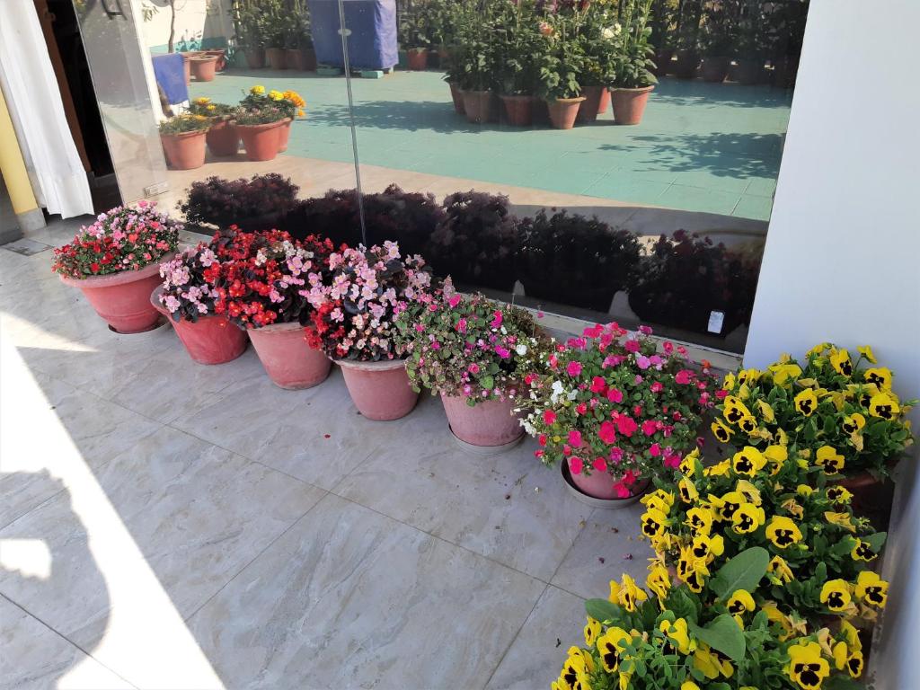 een rij bloemen in roze potten in een winkel bij Homestay - Serviced Apartment "ISH Atithya" with Modular Kitchen, various amenities and Complimentary Breakfast in Lucknow, IN in Lucknow