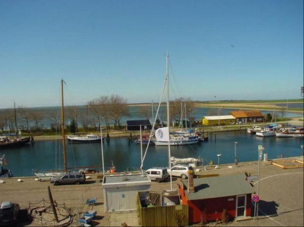 Φυσικό τοπίο κοντά σε αυτό το διαμέρισμα