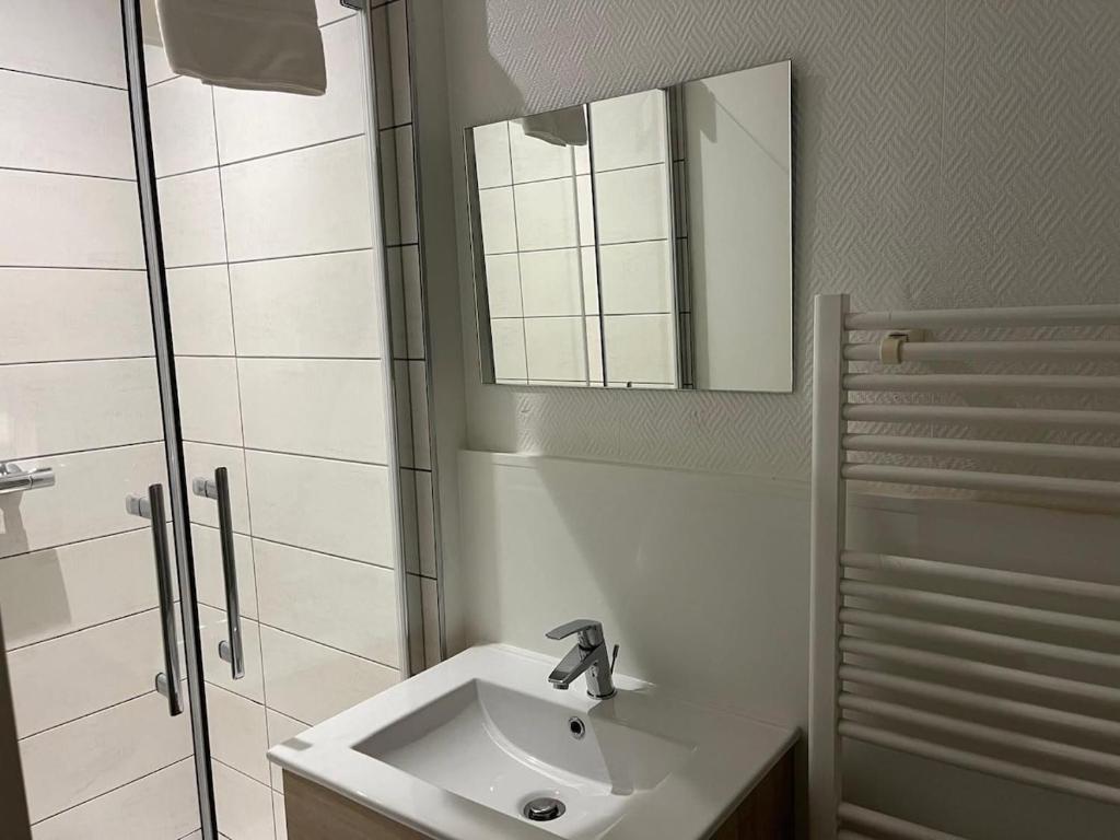 a bathroom with a sink and a mirror and a shower at T2 Centre ville - rdc in Angers