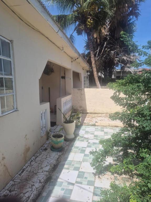a house with some plants sitting outside of it at Sabel's Retreat in Elephant Island