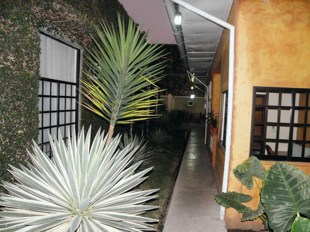 Fotografie z fotogalerie ubytování Hotel Fenix v destinaci Tapachula