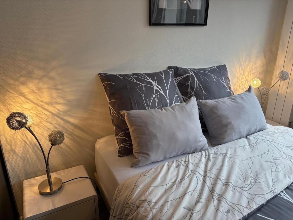Magnifique logement hyper centre Mulhouse Lambert – photo 13
