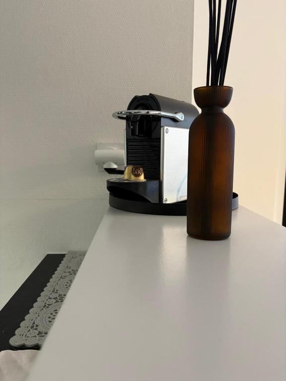 Magnifique logement hyper centre Mulhouse Lambert – photo 12