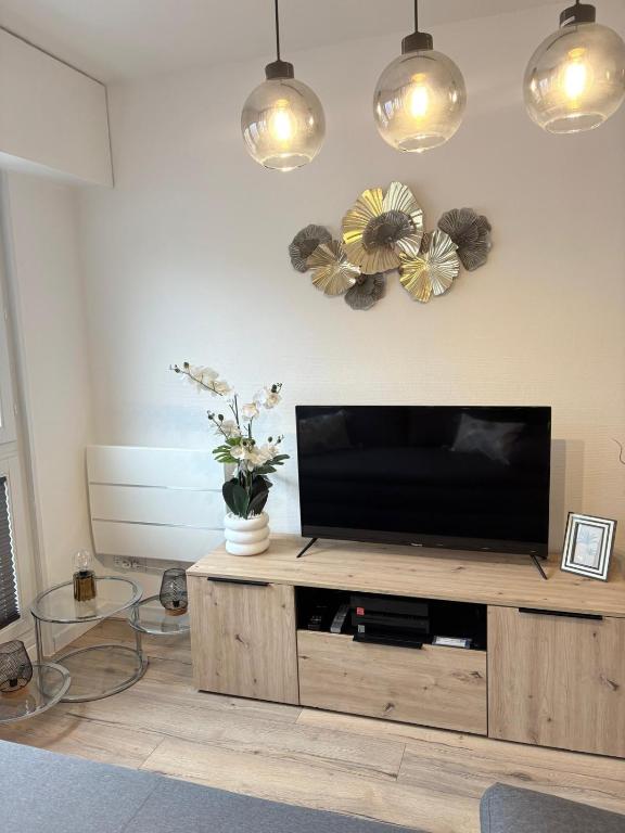 Magnifique logement hyper centre Mulhouse Lambert – photo 14