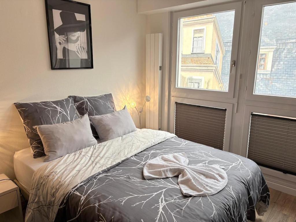 Magnifique logement hyper centre Mulhouse Lambert – photo 7