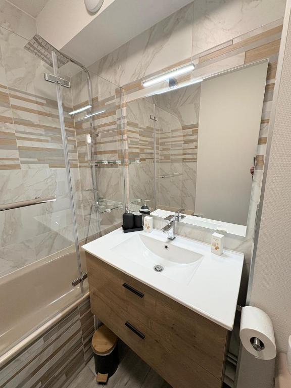 Magnifique logement hyper centre Mulhouse Lambert – photo 18