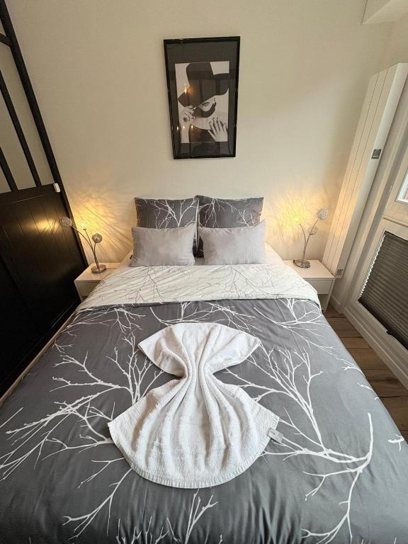 Magnifique logement hyper centre Mulhouse Lambert – photo 19