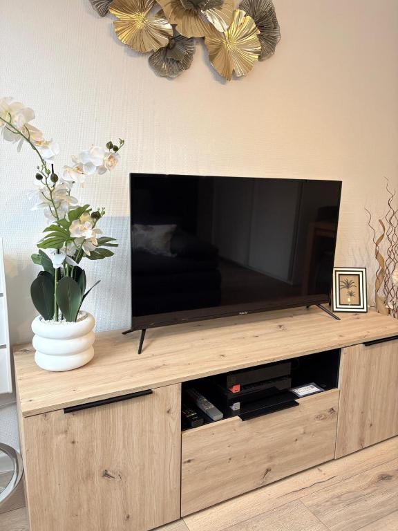 Magnifique logement hyper centre Mulhouse Lambert – photo 21