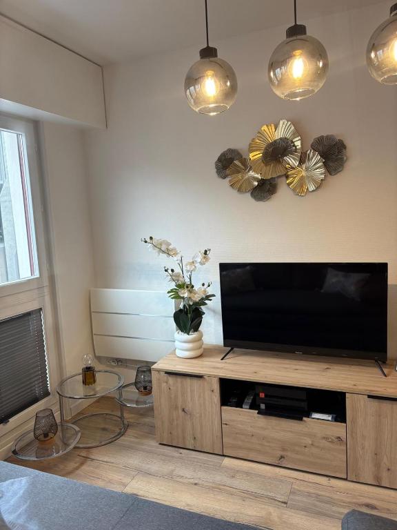 Magnifique logement hyper centre Mulhouse Lambert – photo 23