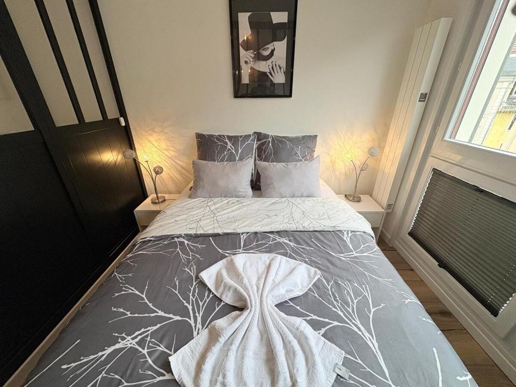 Magnifique logement hyper centre Mulhouse Lambert – photo 25