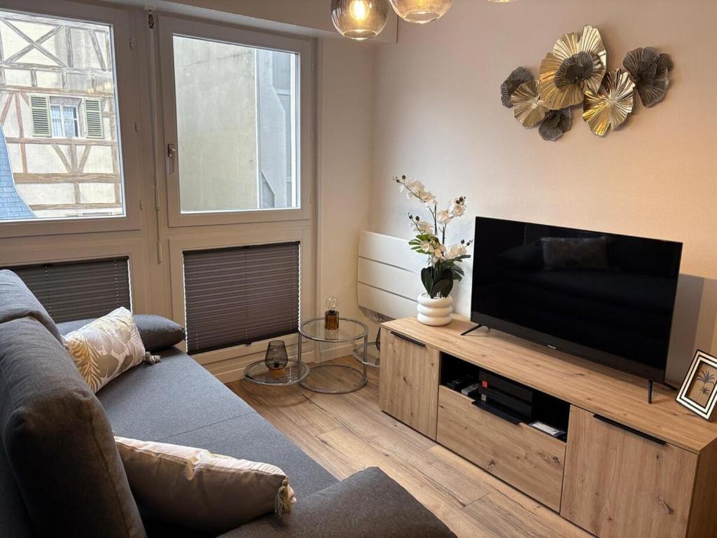 Magnifique logement hyper centre Mulhouse Lambert – photo 5