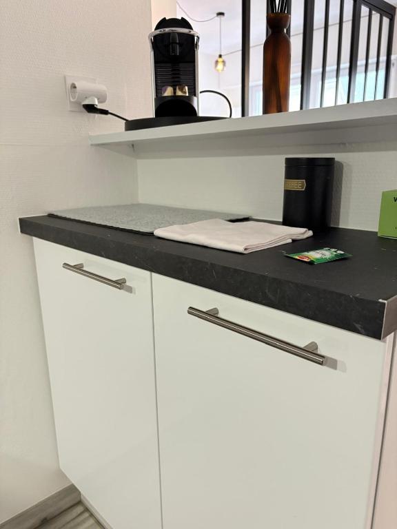 Magnifique logement hyper centre Mulhouse Lambert – photo 26
