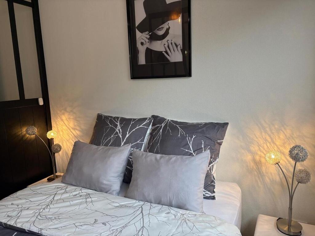 Magnifique logement hyper centre Mulhouse Lambert – photo 27