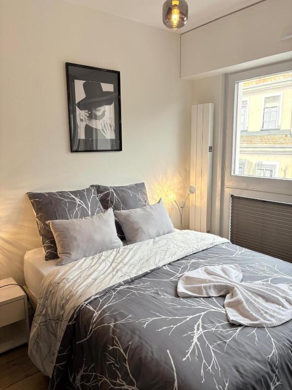 Magnifique logement hyper centre Mulhouse Lambert – photo 28