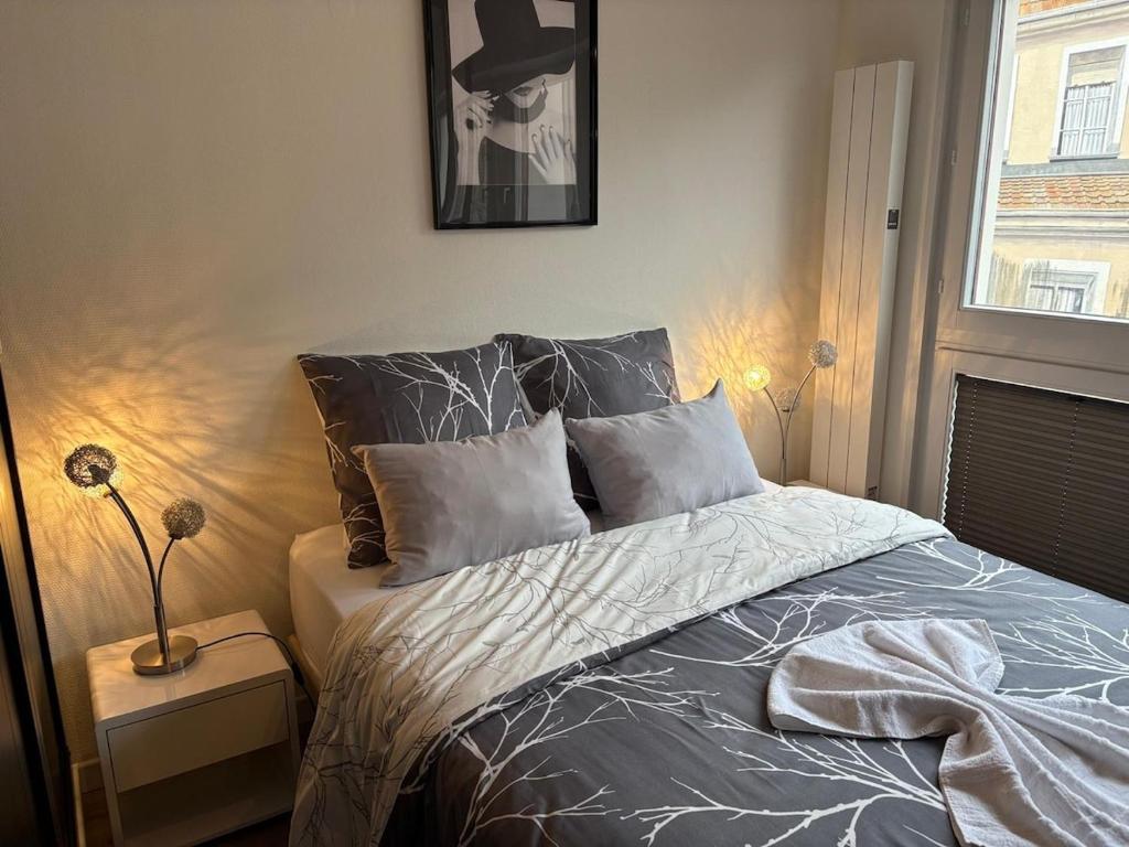 Magnifique logement hyper centre Mulhouse Lambert – photo 29