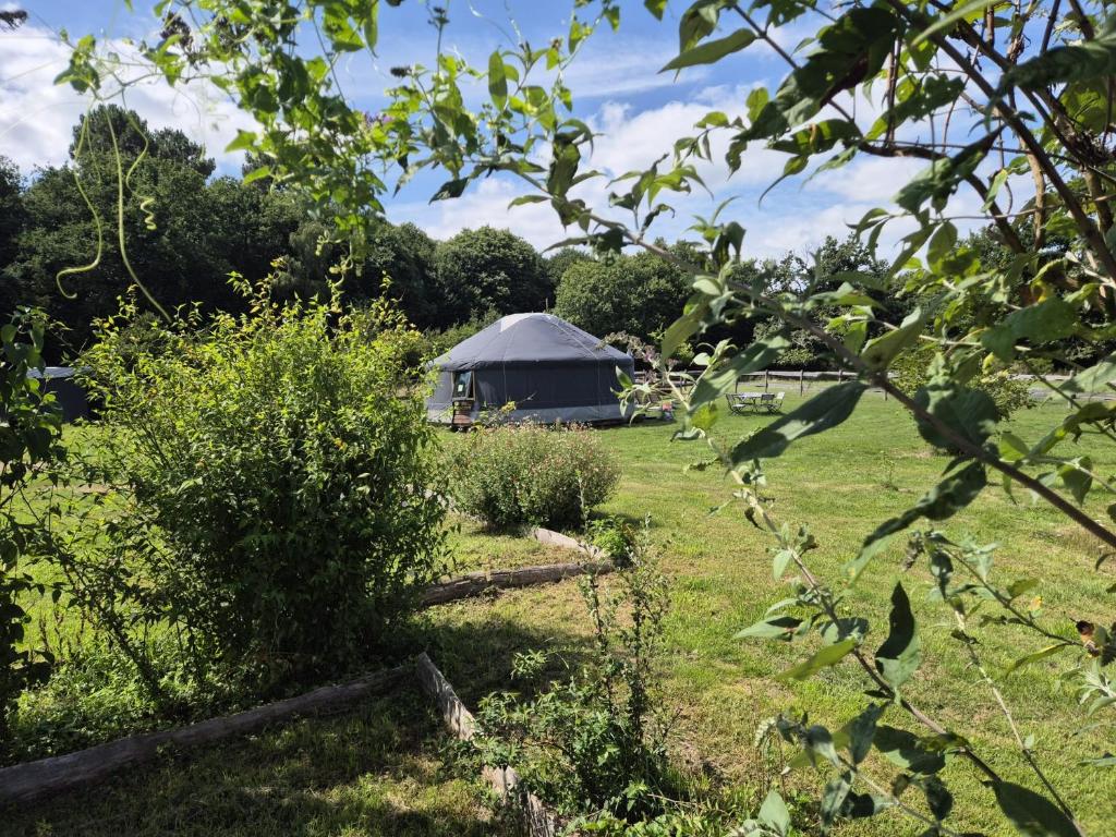 a yurt in the middle of a field at Yourtes l'atelier des rêves Castanea - Séjour nature au cœur du Parc Loire Anjou Touraine in Continvoir