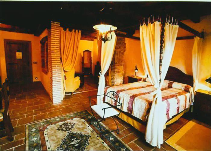 ein Schlafzimmer mit Bett und Vorhängen in einem Zimmer in der Unterkunft Estudio Salón y terraza in Peñaranda de Duero